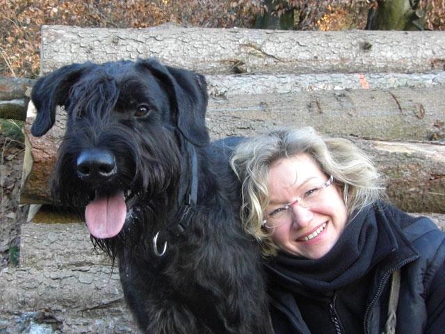 Giant Schnauzer - German Import - Personal Protection Trained For Sale