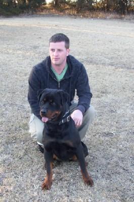 German Shepherd Dog Level 3 Protection Dog For Sale