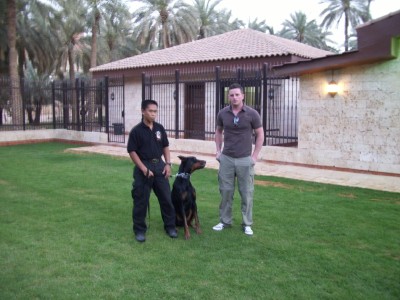 K9 Working Dogs International - Ministry of Defense - Saudi Arabia 