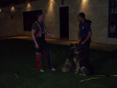 K9 Working Dogs International - Ministry of Defense - Saudi Arabia 