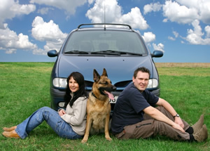 K9 Working Dogs | Family Protection Dogs, Personal Protection Dogs & Executive Protection Dogs For Sale