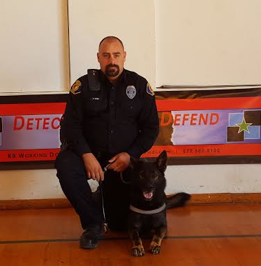 Police K9s For Sale | K9 Working Dogs International is a Police Service ...
