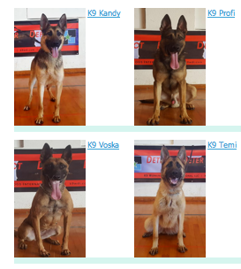 Police Dogs For Sale